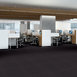 TRAVERSE-54748-GRAPHITE-00500-room-image